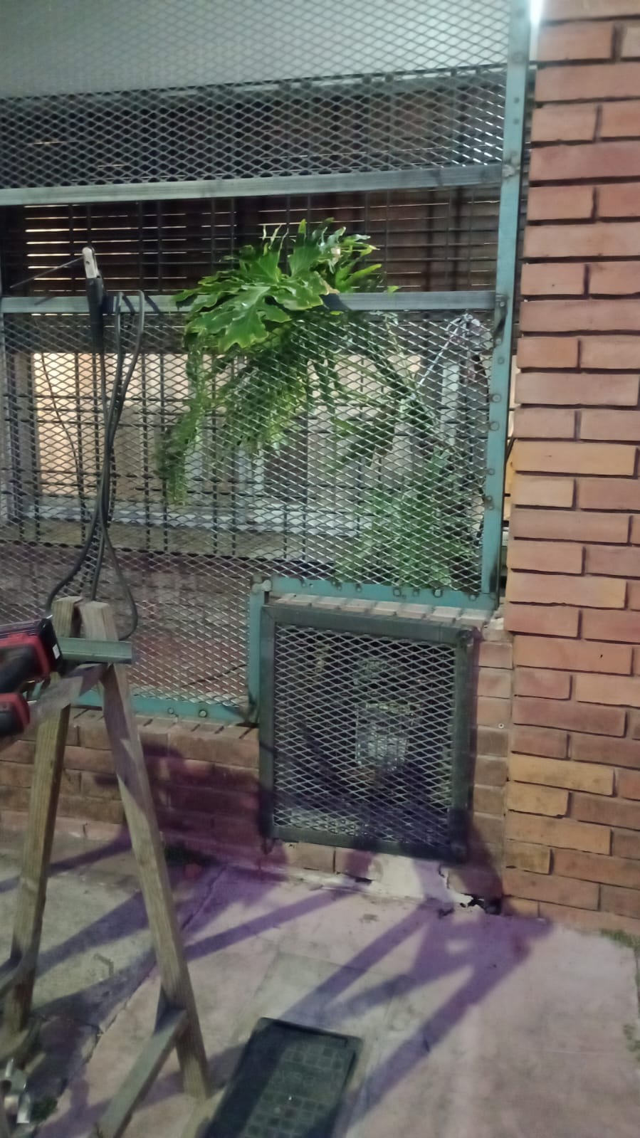 WhatsApp Image 2025-09-15 at 19.04.46.jpeg